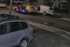 catalytic converter thieves in a lamborghini urus