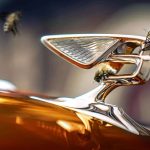 Bentley-Honey-(2)