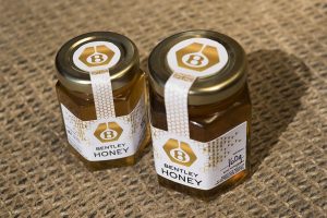 Bentley-Honey-(5)