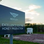 Bentley-Honey-(7)