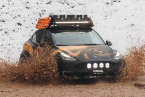 delta4x4-tesla-model-y-im-offroad-trim (1)