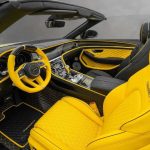 new-mansory-vitesse-is-a-bipolar-bentley-continent (7)