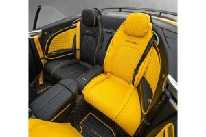 new-mansory-vitesse-is-a-bipolar-bentley-continent (8)