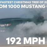 this-year-grinch-stole-hennesseys-christmas-tree-i (2)