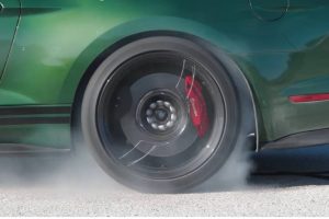 this-year-grinch-stole-hennesseys-christmas-tree-i (3)