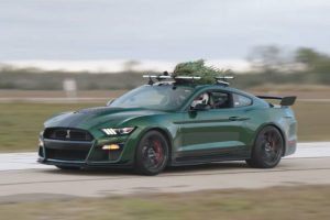 this-year-grinch-stole-hennesseys-christmas-tree-i