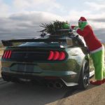 this-year-grinch-stole-hennesseys-christmas-tree-i (4)