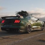 this-year-grinch-stole-hennesseys-christmas-tree-i (5)