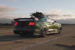 this-year-grinch-stole-hennesseys-christmas-tree-i (5)