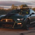 this-year-grinch-stole-hennesseys-christmas-tree-i (6)