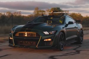 this-year-grinch-stole-hennesseys-christmas-tree-i (6)