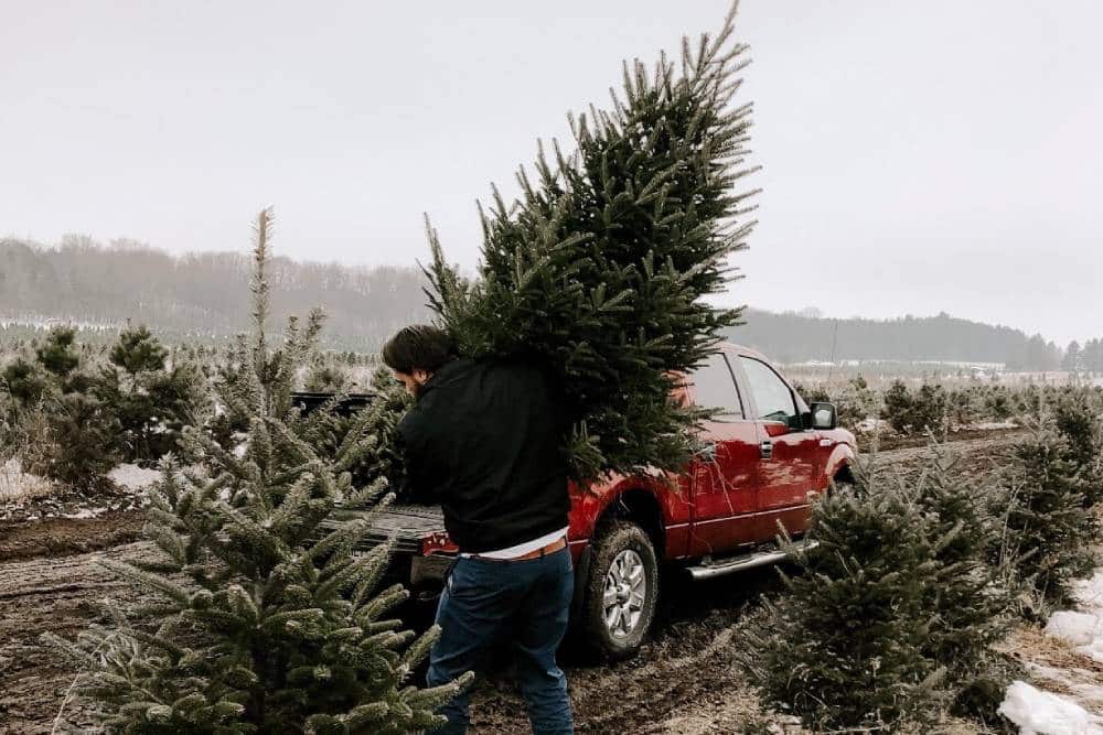 https://autogreeknews.gr/wp-content/uploads/2022/12/tips-for-safely-transporting-christmas-tree-02.jpg