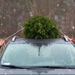 tips for safely transporting christmas tree 03