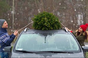 tips for safely transporting christmas tree 03