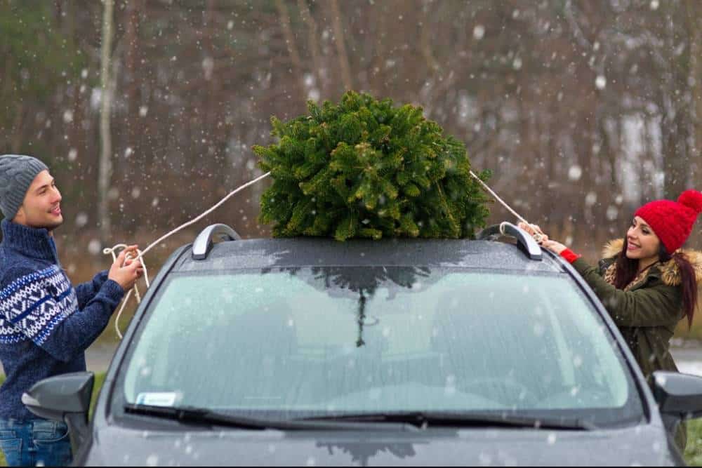https://autogreeknews.gr/wp-content/uploads/2022/12/tips-for-safely-transporting-christmas-tree-03.jpg