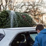 tips for safely transporting christmas tree 05