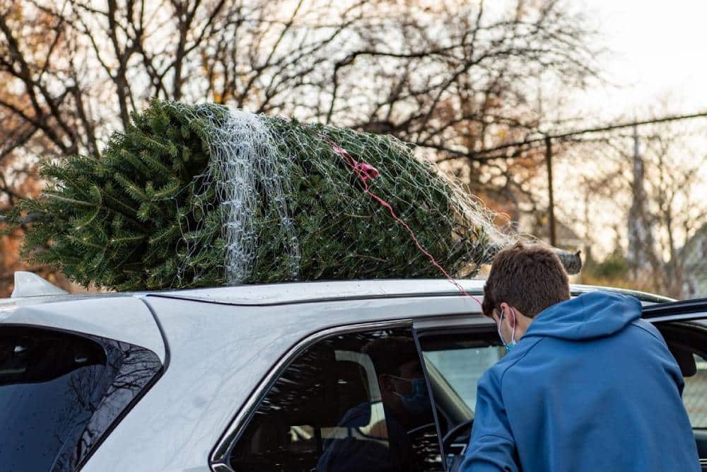 https://autogreeknews.gr/wp-content/uploads/2022/12/tips-for-safely-transporting-christmas-tree-05.jpg