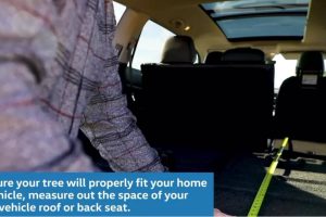 tips for safely transporting christmas tree 06