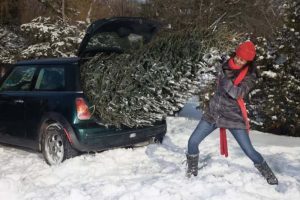 tips for safely transporting christmas tree