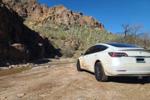 owner-spends-2700-to-turn-tesla-model-3-performanc (4)