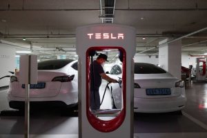 tesla gets fined in korea