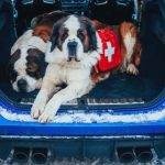 331424851_929664694833677_4753579633295800164_n