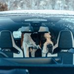 331758242_5784018565040491_7506446434577308302_n