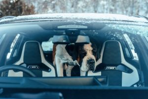 331758242_5784018565040491_7506446434577308302_n