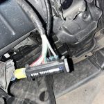 can bus car thieves 02