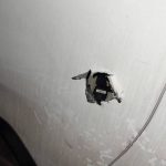 trypes amakswma can bus