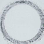 skoda-enyaq-rs-sets-two-guinness-records (8)