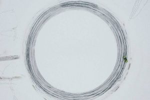 skoda-enyaq-rs-sets-two-guinness-records (8)