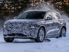 Audi-Q6-testing-(3)
