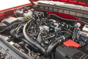 ford bronco europe 14