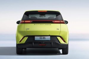 BYD-Seagull-rear