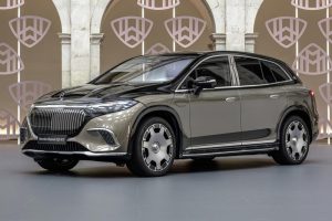Mercedes-Maybach-EQS-SUV-(16)