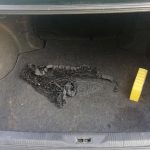 nissan-maxima-2001-(2)