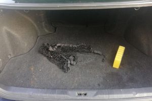 nissan-maxima-2001-(2)