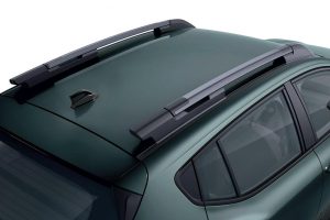 Dacia Sandero Stepway-2023 (10)