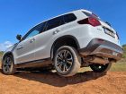 Suzuki-Vitara-off-road