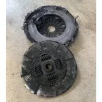 hetereciousu7-1-scaled (1)