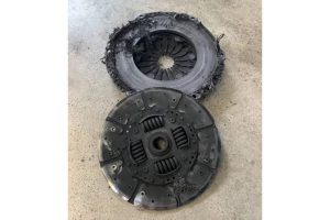 hetereciousu7-1-scaled (1)