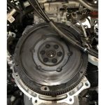 hetereciousu7-2-scaled