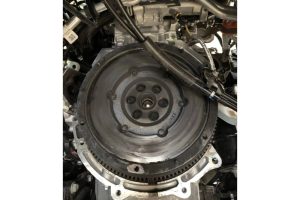 hetereciousu7-2-scaled