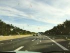 insects-windscreen