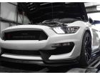 shelby dynamometro troxo