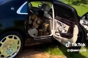 wood carrying maybach