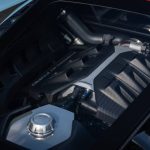 DSC_2520-06168-scaled