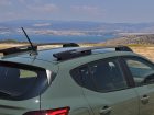 Dacia-Sandero-Stepway-roof
