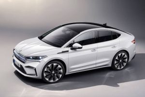 skoda-celebrates-diversity-and-inclusion-with-the- (3)